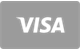 Visa card payment accepted at Netflix Casino